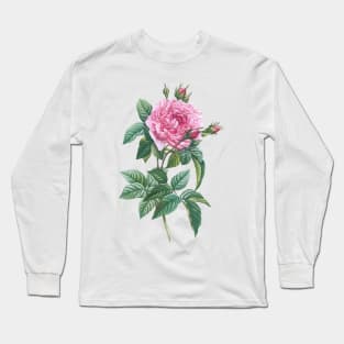 Pink Rose Flowers with Green Leaves Long Sleeve T-Shirt